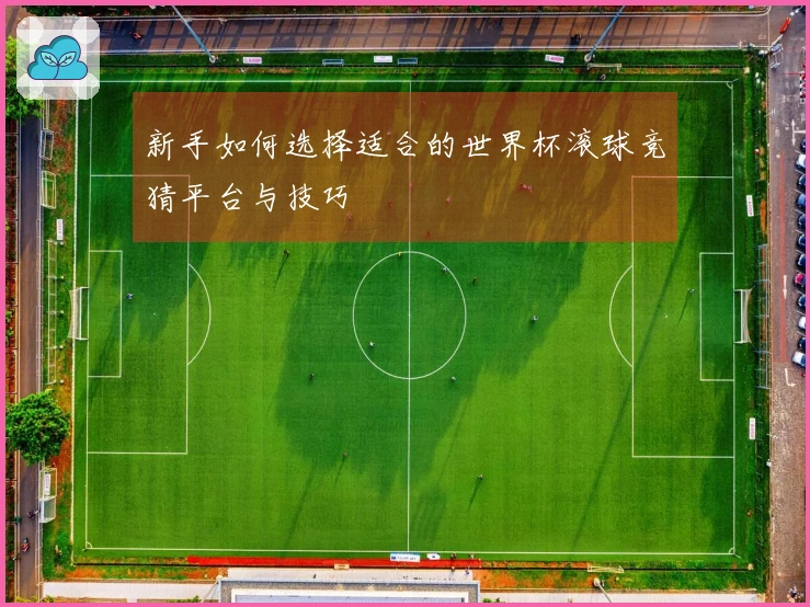 新手如何选择适合的世界杯滚球竞猜平台与技巧