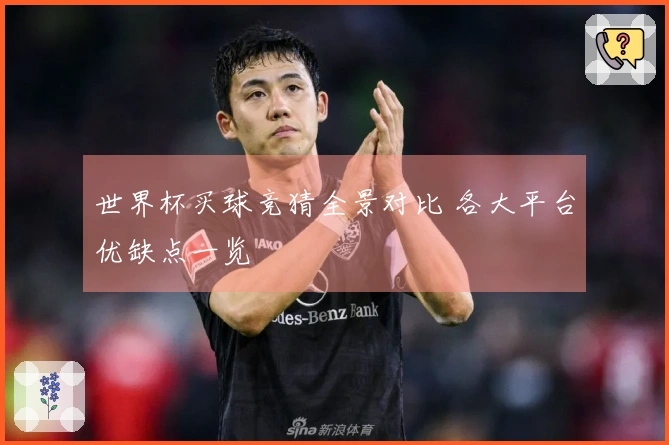世界杯买球竞猜全景对比 各大平台优缺点一览