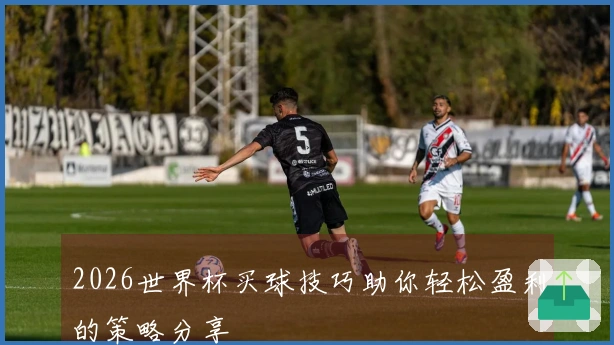 2026世界杯买球技巧助你轻松盈利的策略分享