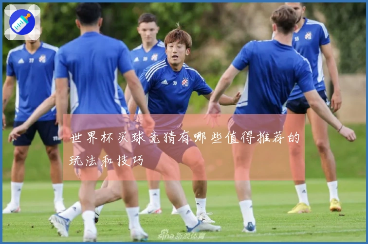 世界杯买球竞猜有哪些值得推荐的玩法和技巧