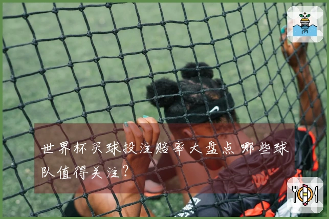 世界杯买球投注赔率大盘点 哪些球队值得关注？