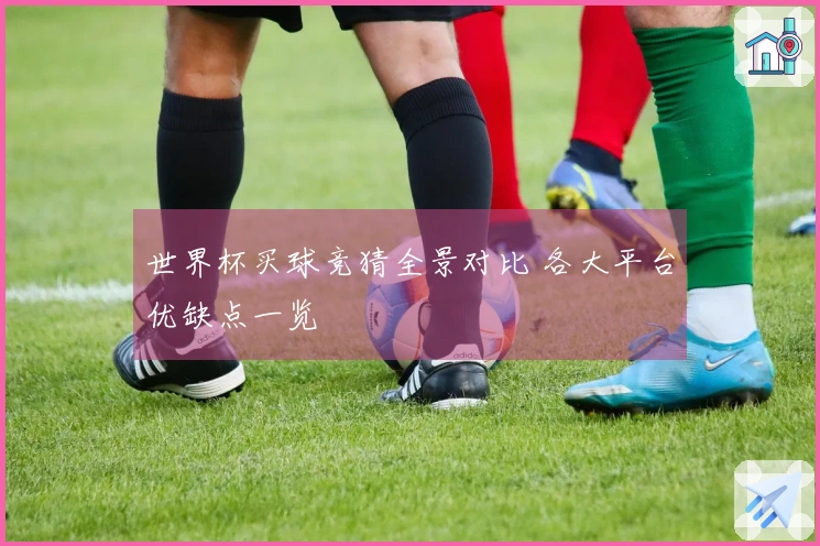 世界杯买球竞猜全景对比 各大平台优缺点一览