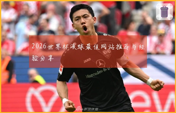 2026世界杯滚球最佳网站推荐与经验分享