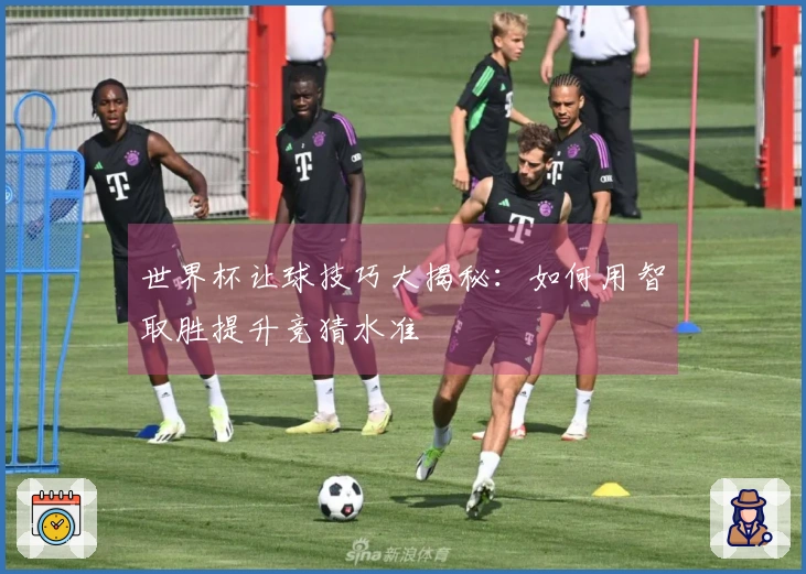 世界杯让球技巧大揭秘：如何用智取胜提升竞猜水准