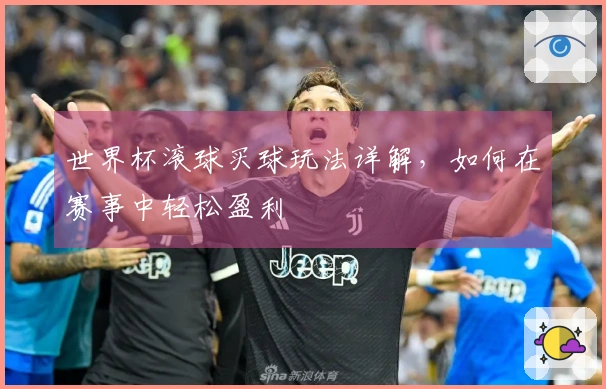 世界杯滚球买球玩法详解，如何在赛事中轻松盈利